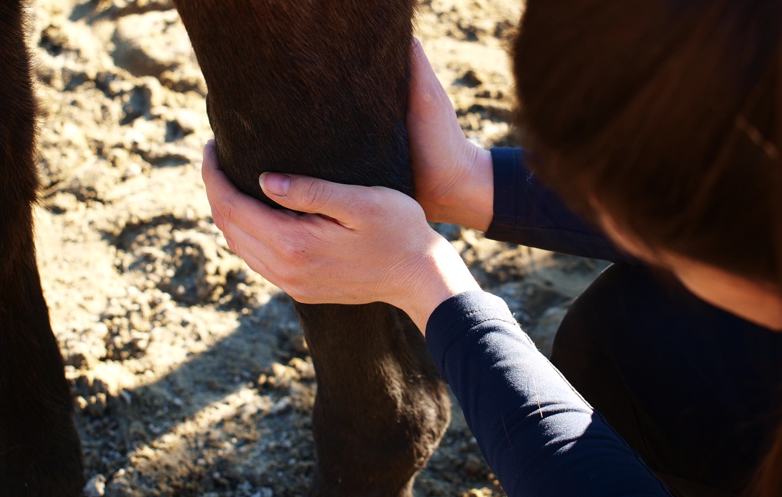 Therapie
